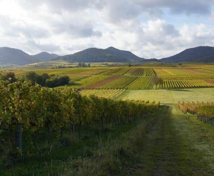 pfalz erlebnis woche